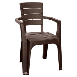 Silla Roble Para Comedor Terraza Camping Con Apoyabrazos