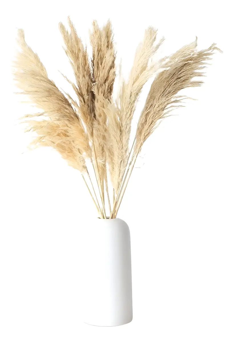 Ramillete Elegant Mini Pampa Collection Naturales Decorativa